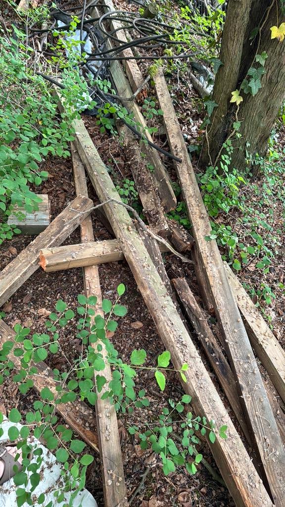 Lange balken hout gratis, Ophalen, Balken
