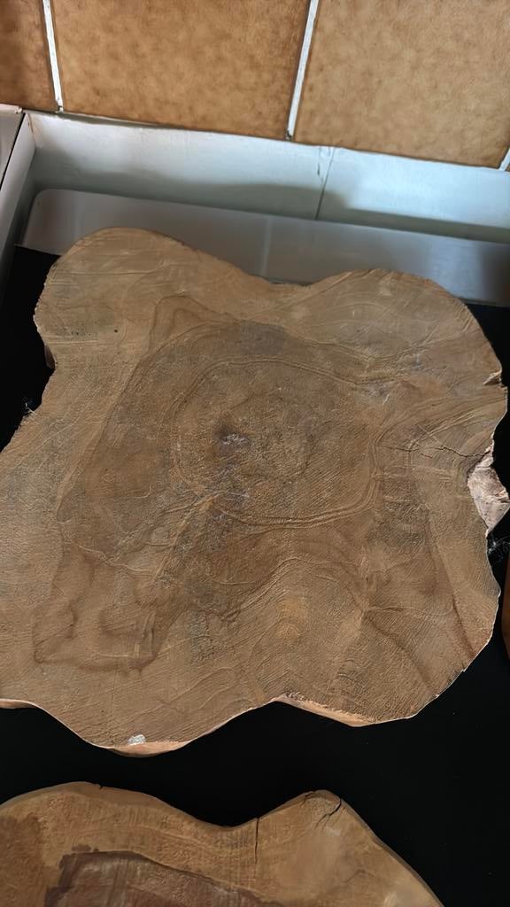 Houten sierstronken, Ophalen of Verzenden, Zo goed als nieuw