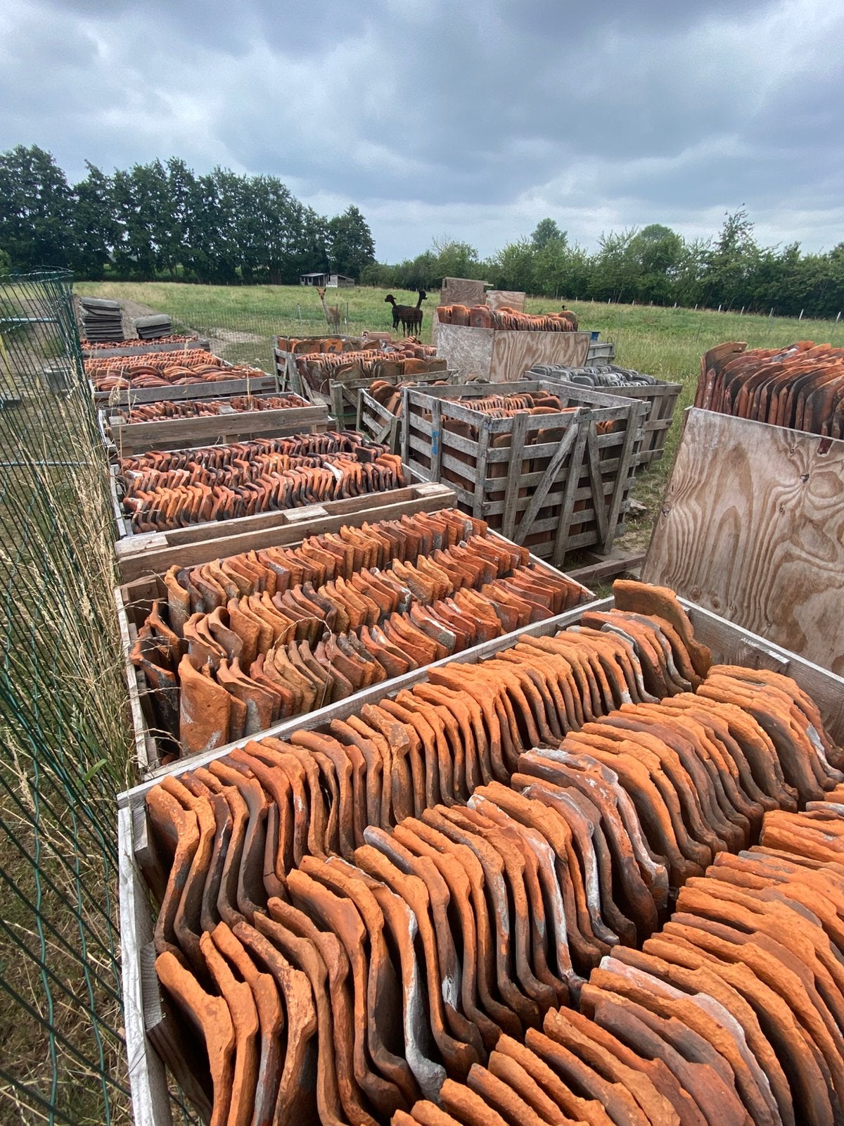 Boomse pannen, Doe-het-zelf en Bouw, Dakpannen en Dakbedekking, Ophalen, Zo goed als nieuw