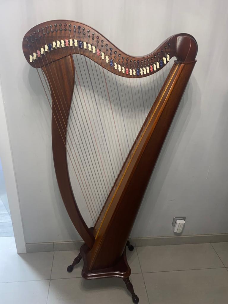 Camac harp te huur met 36 snaren, Muziek en Instrumenten, Snaarinstrumenten | Harpen, Ophalen, Zo goed als nieuw