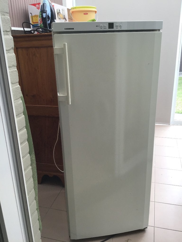 Diepvries, Zo goed als nieuw, Energieklasse A of zuiniger, 140 tot 160 cm, Ophalen