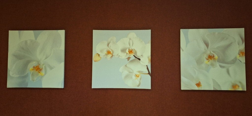 Cadres Orchidée impression sur toile 3 Pieces., Maison & Meubles, 57 cm, 57 cm, Comme neuf, Synthétique
