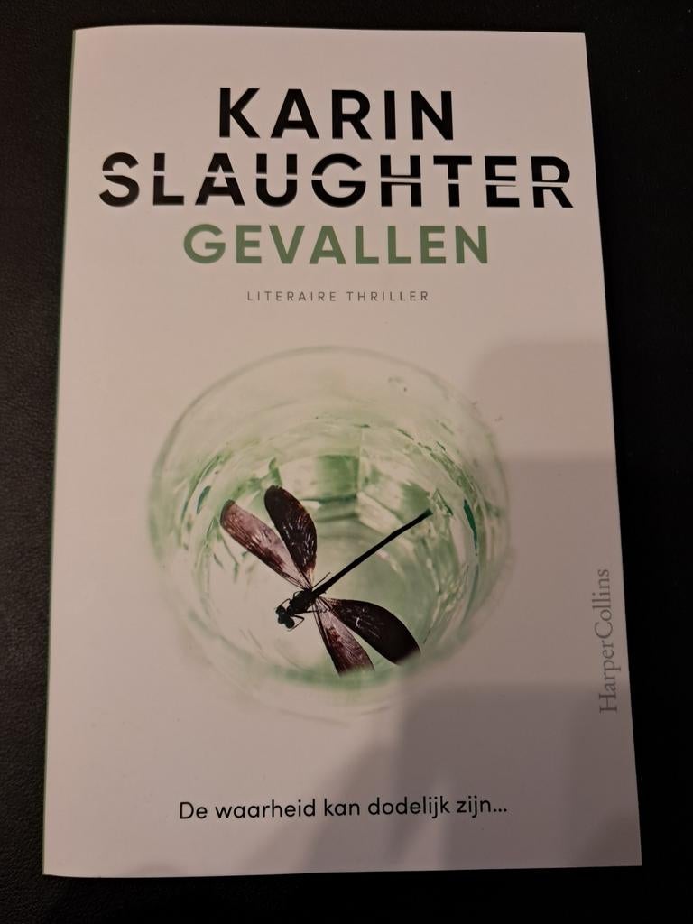 Karin Slaughter - Gevallen - nieuw, Ophalen of Verzenden, Karin Slaughter, Nederland