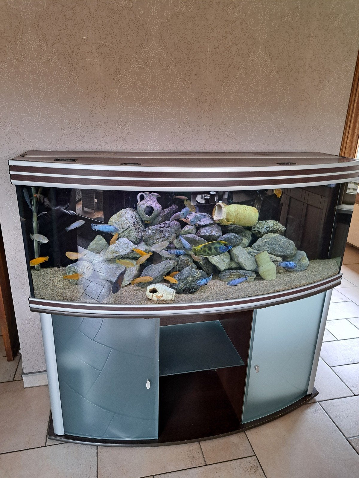 aquaruim, Dieren en Toebehoren, Ophalen, Aquatlantis