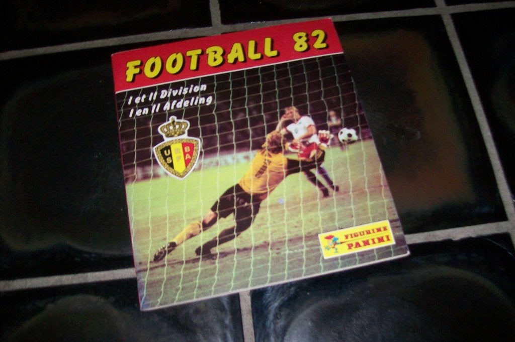 panini voetbal, Sport en Fitness, Voetbal, Ophalen of Verzenden, Gebruikt, Clubaccessoires