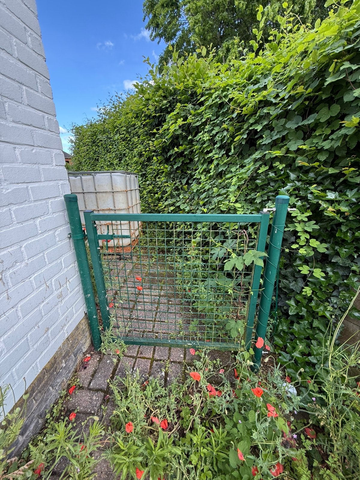 Tuinhek deur, Enlèvement, Comme neuf, Porte du jardin
