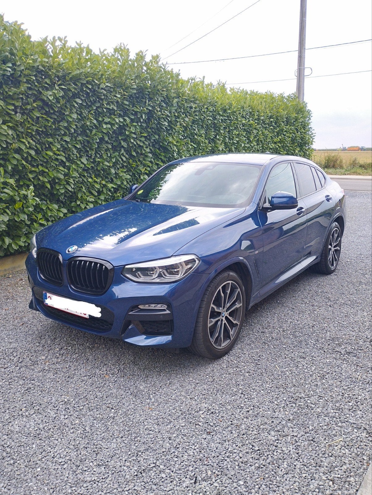A vendre BMW X4 2.0D XDrive Kit M couleur bleu métallisé, Cuir, Achat, USB, Automatique
