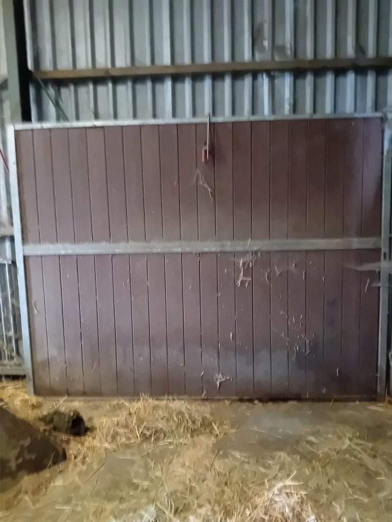 4 zware Hengsten boxen       Paardenboxen