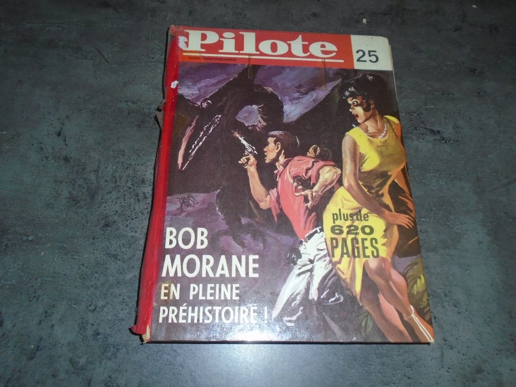 RELIURES HEBDO - PILOTE-TINTIN-SPIROU, Boeken, Complete serie of reeks, Ophalen of Verzenden, Gelezen