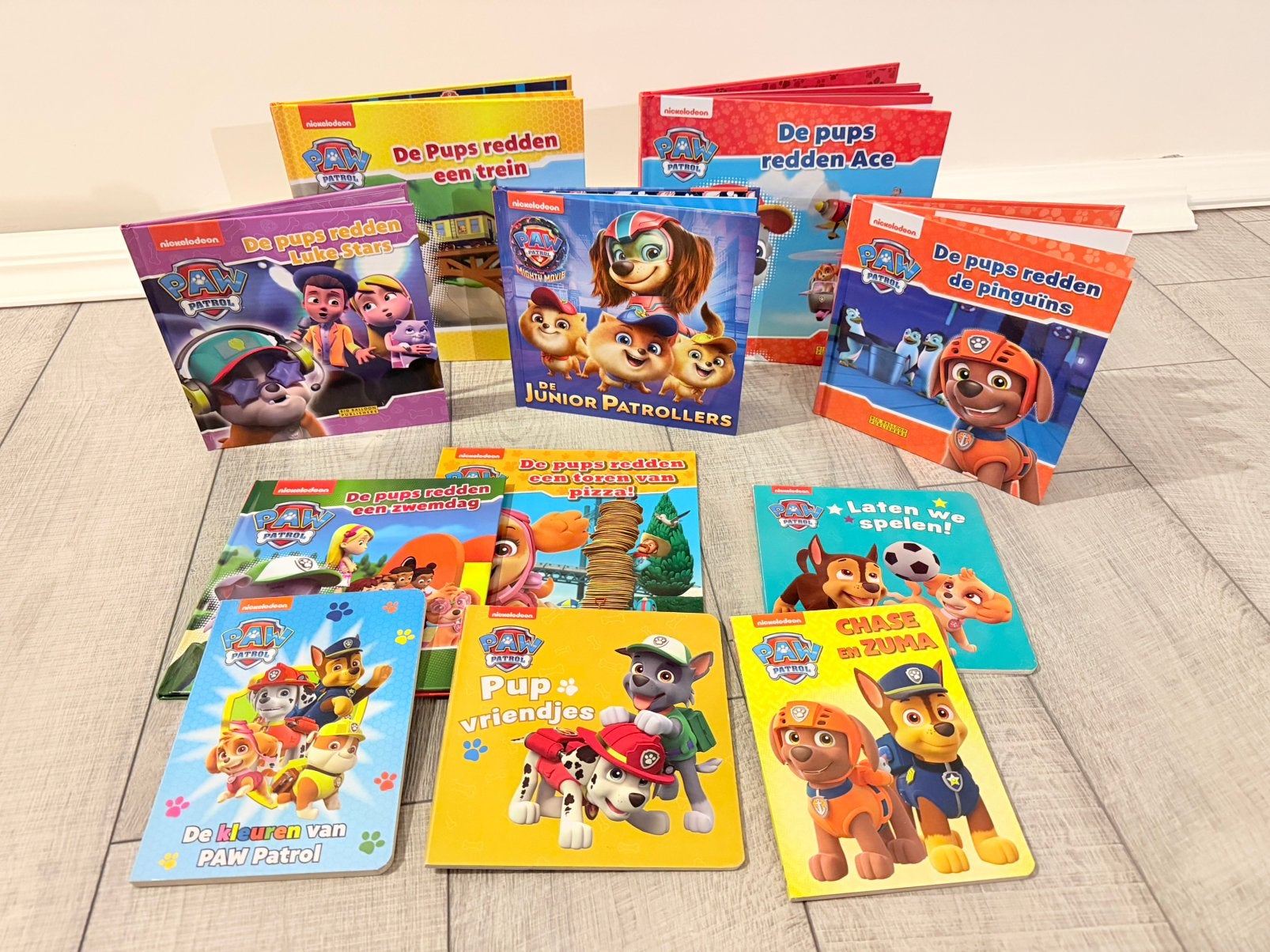 Lot Paw Patrol voorleesboekjes, Boeken, Ophalen, Gelezen