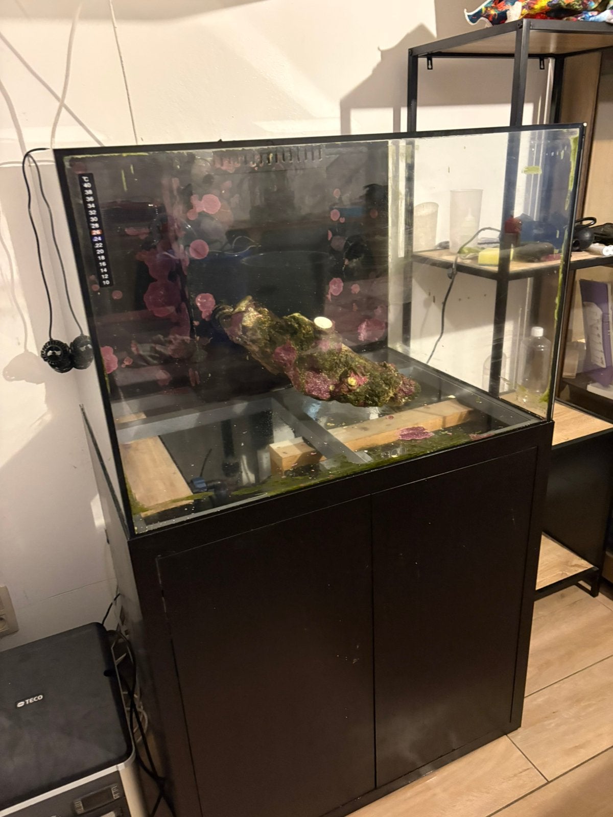 Zeeaquarium, Dieren en Toebehoren, Ophalen, Gebruikt, Overige merken, Leeg aquarium