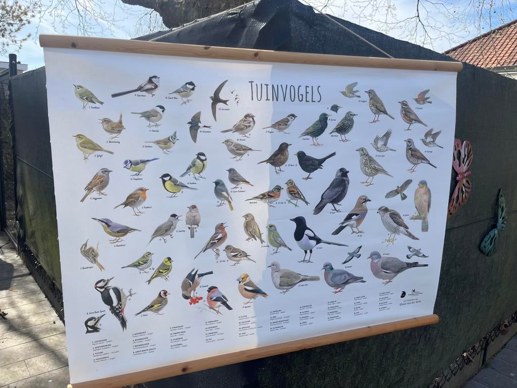 Poster Tuinvogels, Enlèvement
