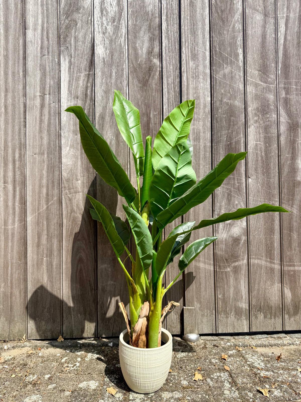 Mooie Kunst Bananenplant in Witte Sierpot, Ophalen, Groen, Kunstplant, Zo goed als nieuw