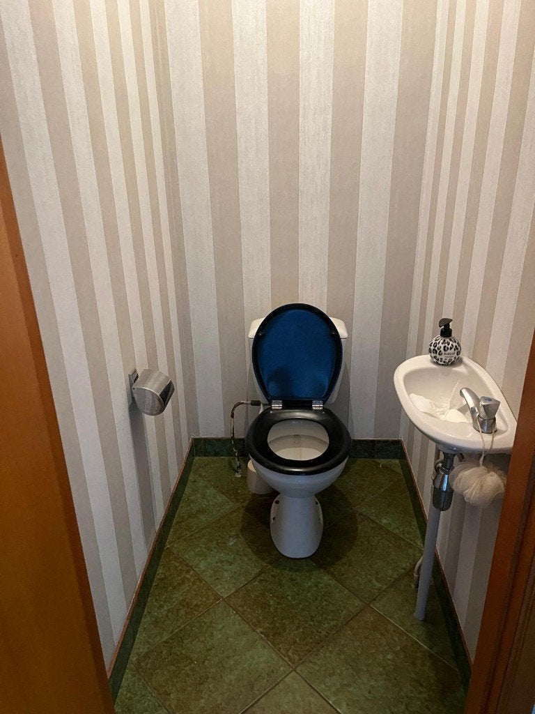 Toilet en handenwasser - GRATIS, Ophalen, Zo goed als nieuw, Toilet