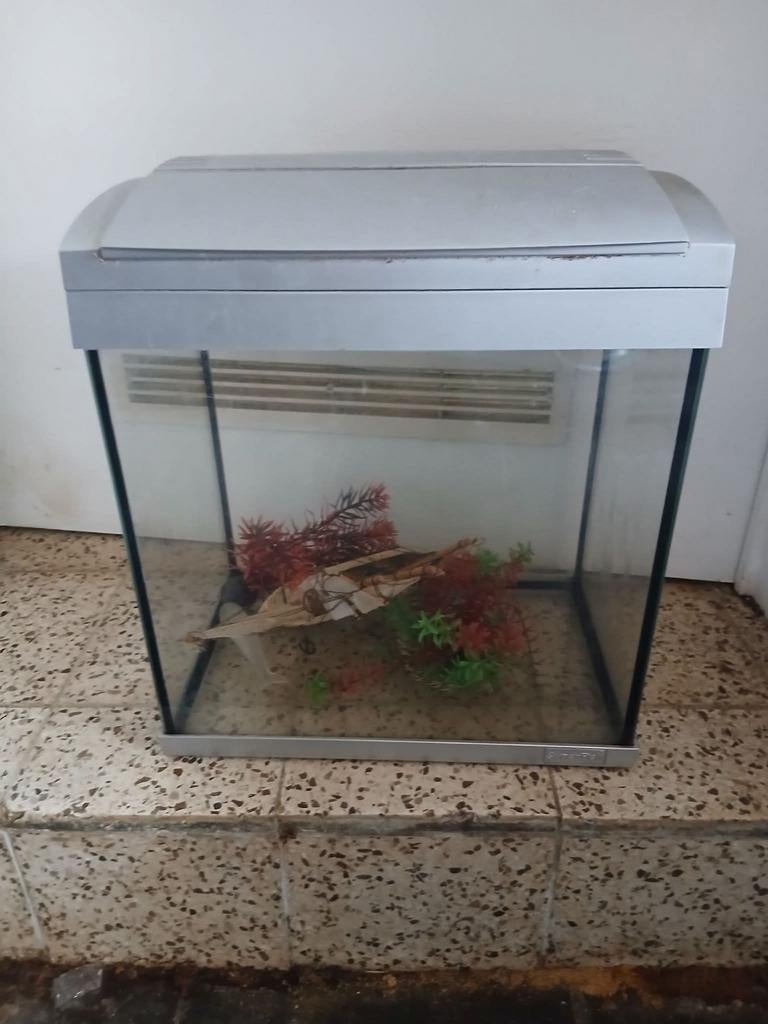 Vis bak, Dieren en Toebehoren, Vissen | Aquaria en Toebehoren, Ophalen