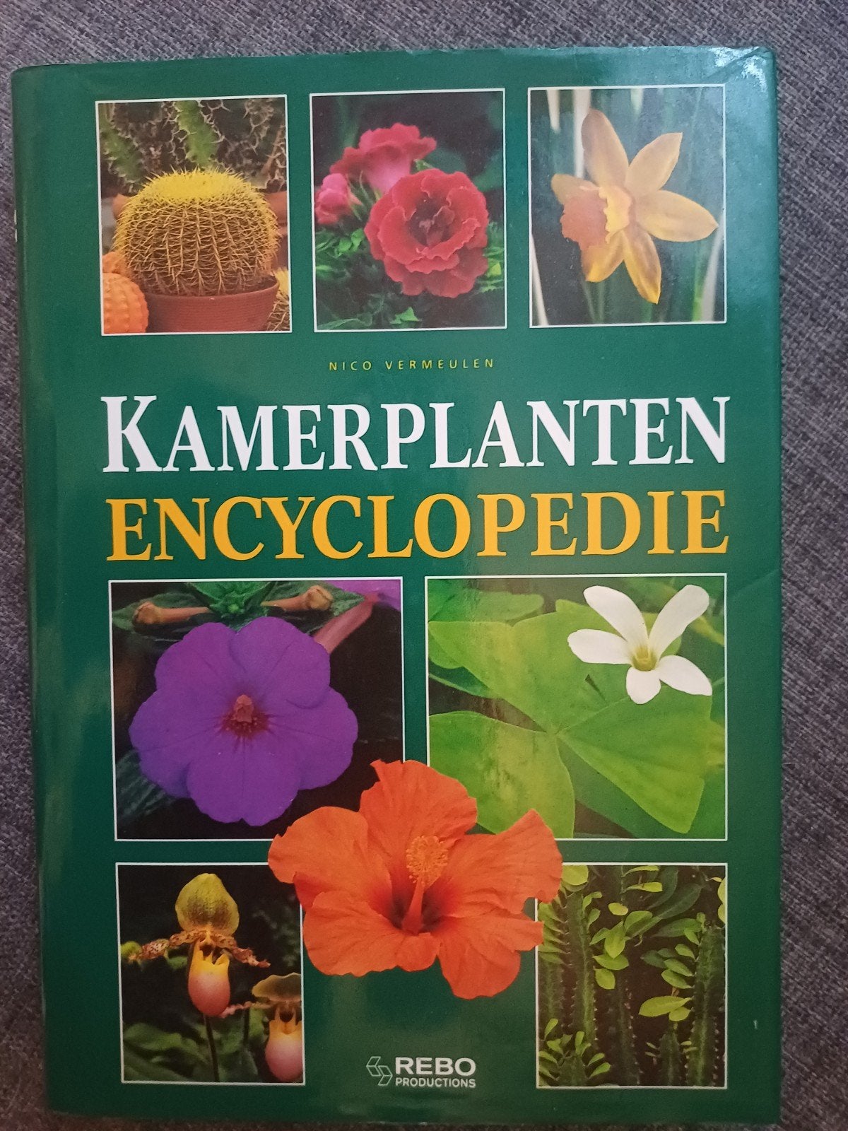 Boek Kamerplanten encyclopedie Nico Vermeulen, Boeken, Ophalen of Verzenden, Zo goed als nieuw, N. Vermeulen, Bloemen, Planten en Bomen