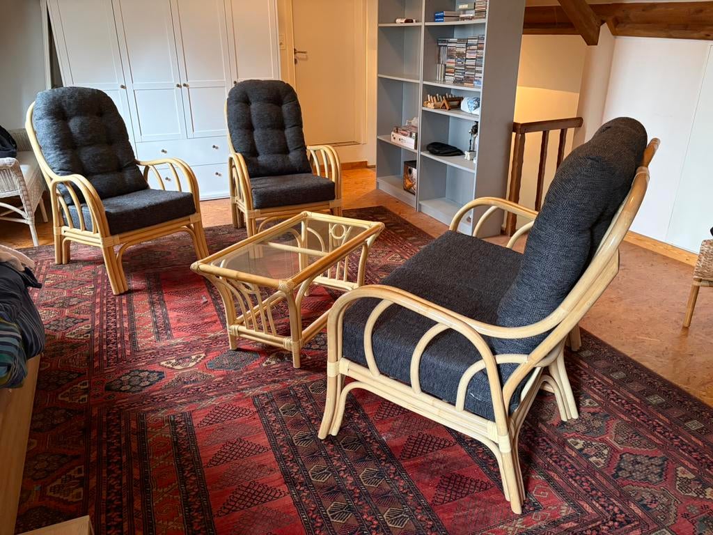 Mooie rotan salon, Enlèvement ou Envoi