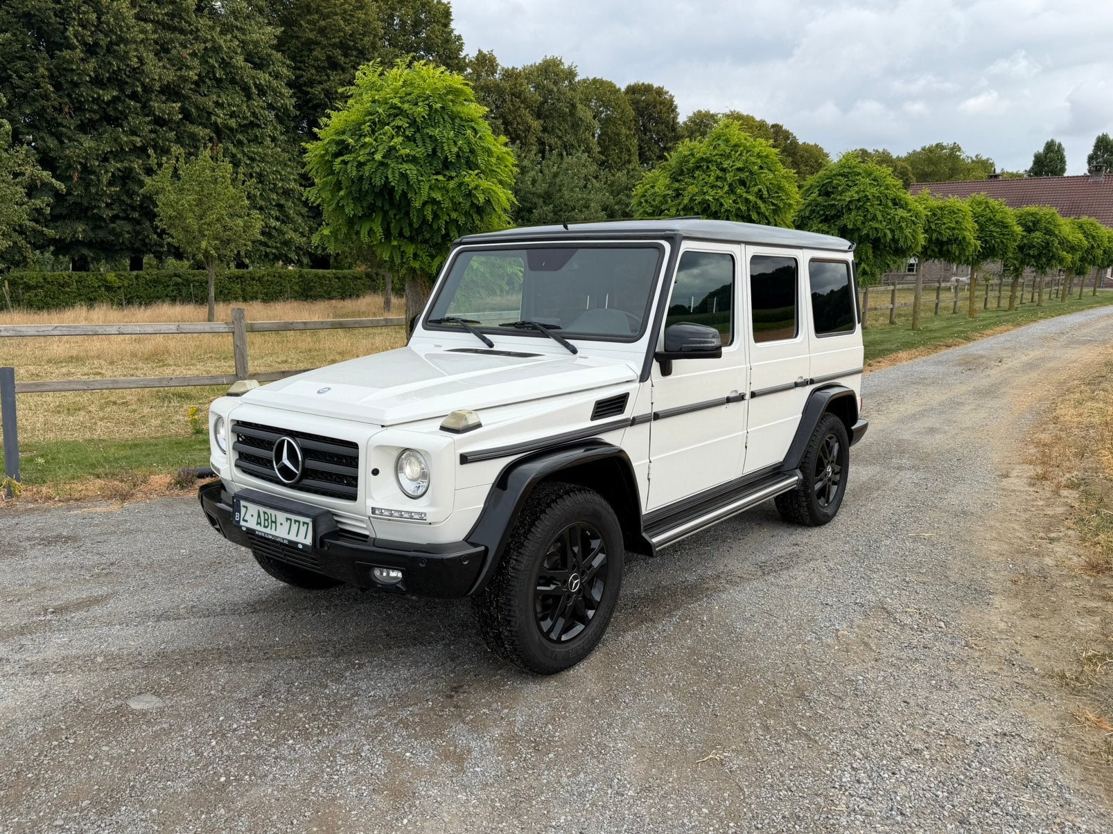 Mercedes G350 Designo Cargo Léger Alcantara Harmann Kardon, Autos, Euro 5, Achat, 155 kW, Entreprise