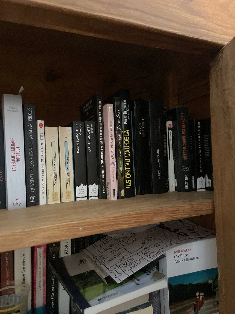 Beaucoup de livre, Boeken, Romans, Ophalen of Verzenden, Zo goed als nieuw, België