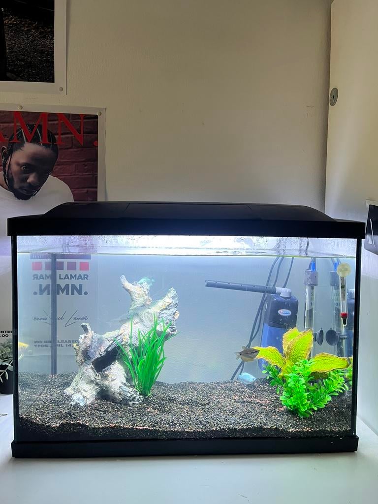 Aquarium warmwater+ vissen, Dieren en Toebehoren, Ophalen, Nieuw