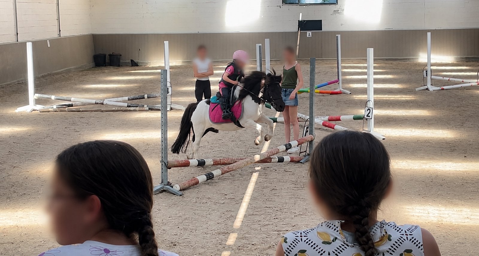 Super brave kinderpony, Animaux & Accessoires, Poneys, Hongre, B, Poney A (jusqu'à 1.17 m), Poney de récréation, 11 ans ou plus