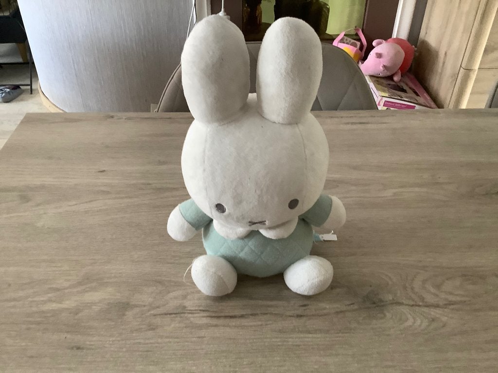 Nijnte pluche character (33 cm) (Rammelaar), Kinderen en Baby's, Groen, Overige merken, Konijn, Nijntje