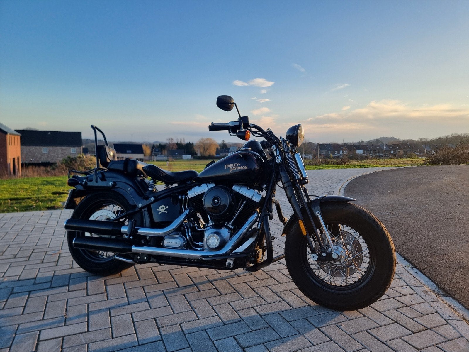 HARLEY DAVIDSON CROSS BONES, Particulier