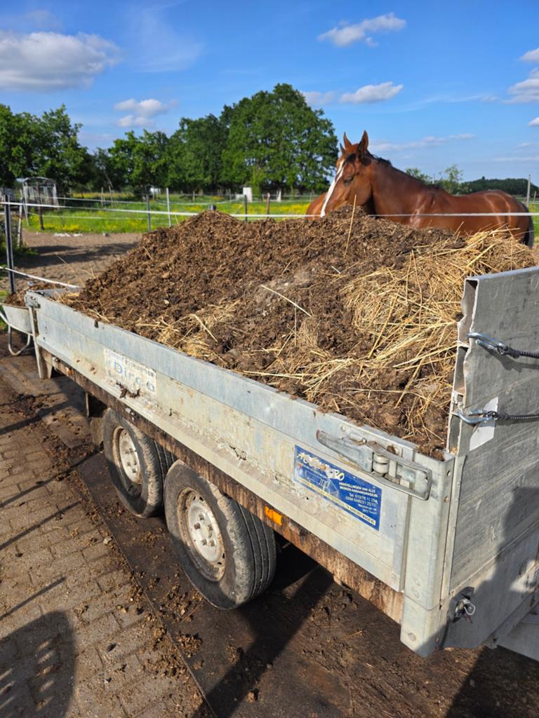 GRATIS geleverd paardenmest Putte, Jardin & Terrasse, Terre & Fumier, Fumier, Enlèvement