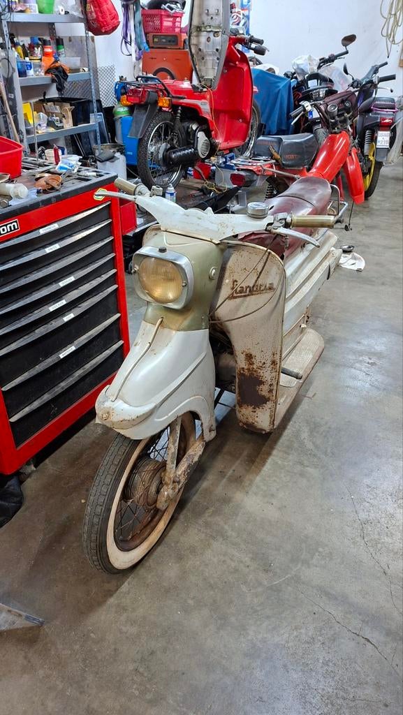 Flandria parisienne, Enlèvement ou Envoi, 49 cm³, Classe B (45 km/h), Autres marques