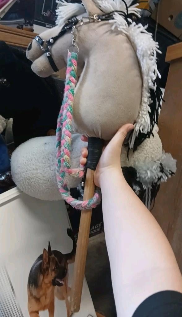 Stokpaard, Kinderen en Baby's, Ophalen, Gebruikt