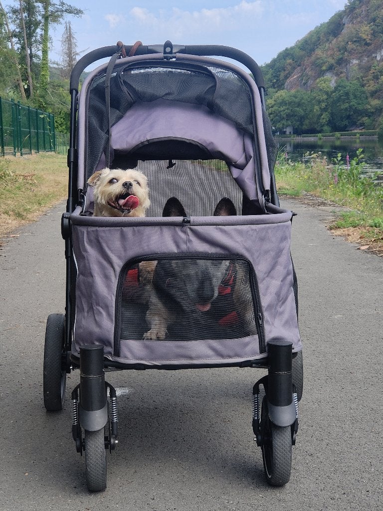 Poussette noir pour chien 15,60kg, Dieren en Toebehoren, Overige merken, Ophalen, Zo goed als nieuw, Hondenbuggy