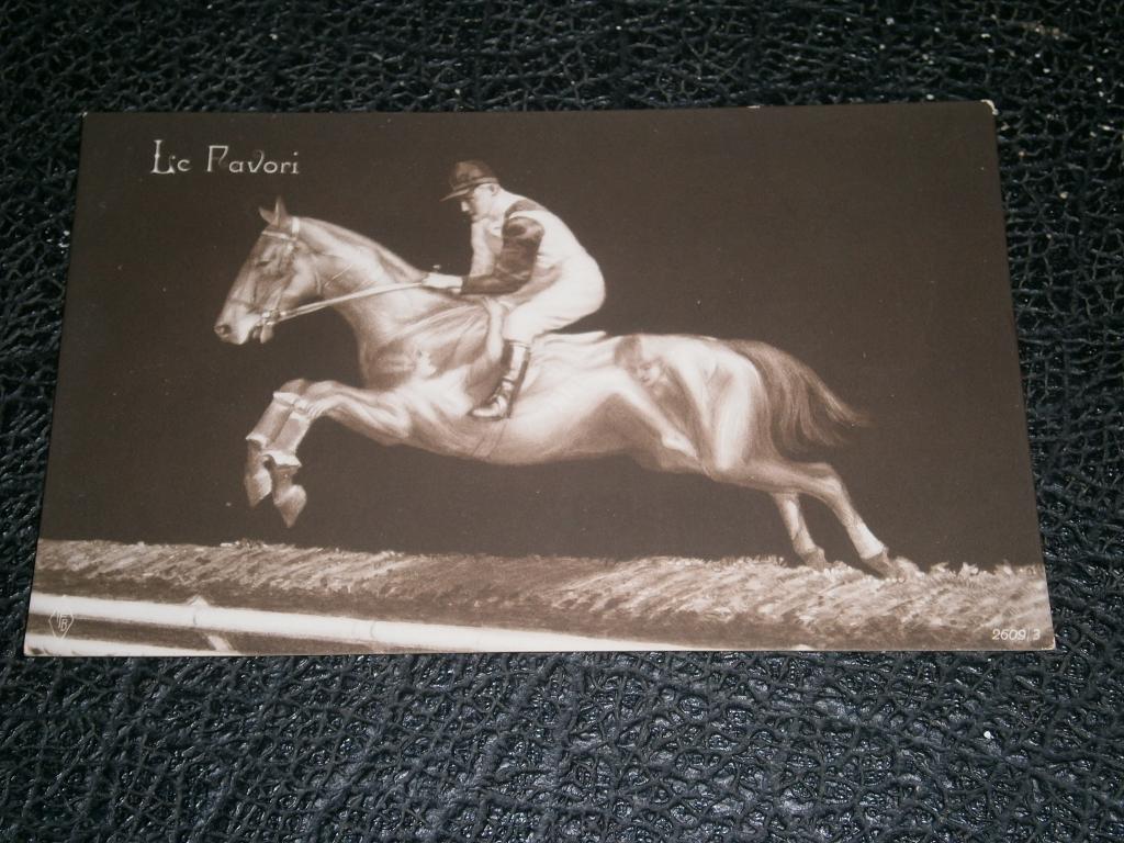 5 cartes postales hippiques illustrées 1918-20, Verzamelen, Postkaarten | Dieren, Ophalen of Verzenden, Voor 1920, Ongelopen, Paard