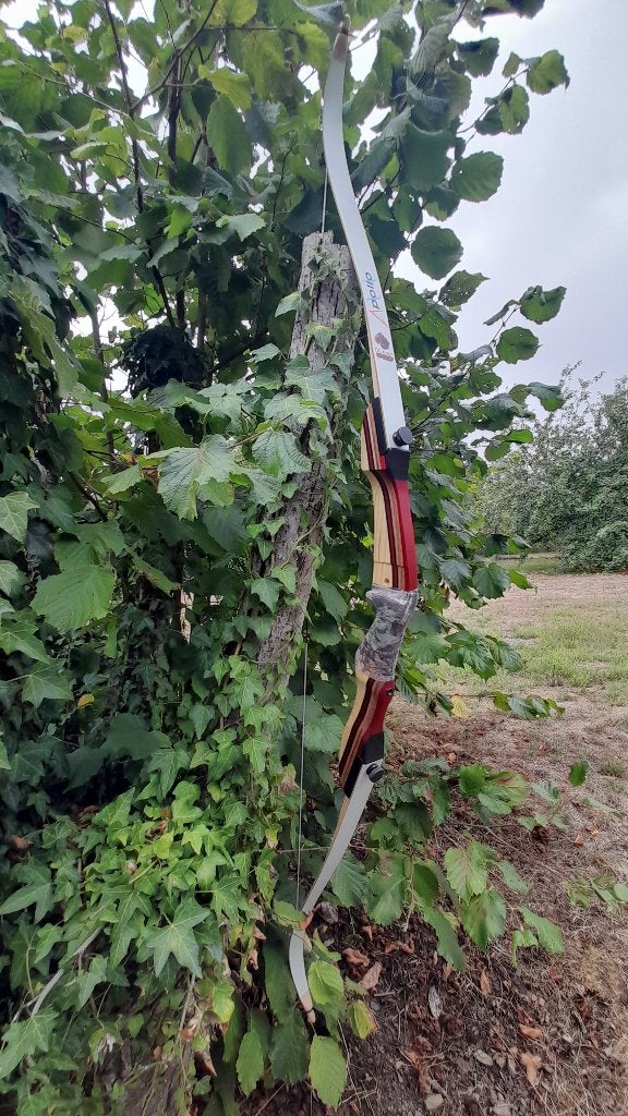 Arc à flèche // Super affaire !!, Enlèvement ou Envoi, Neuf, Arc recurve