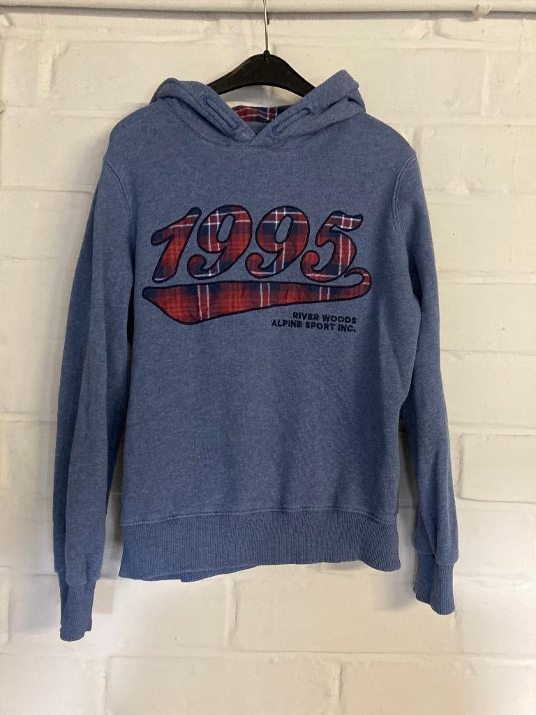 Blauw-grijze hoodie, River Woods, 152, 12 jaar, Garçon, River Woods, Enlèvement ou Envoi, Pull ou Veste