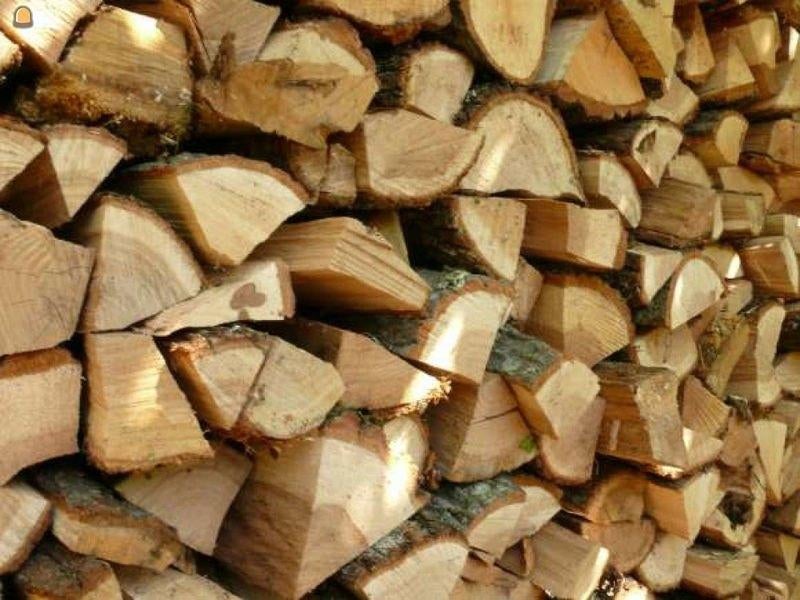 Brandhout te koop, Tuin en Terras, Brandhout, Stammen, Overige houtsoorten, Ophalen