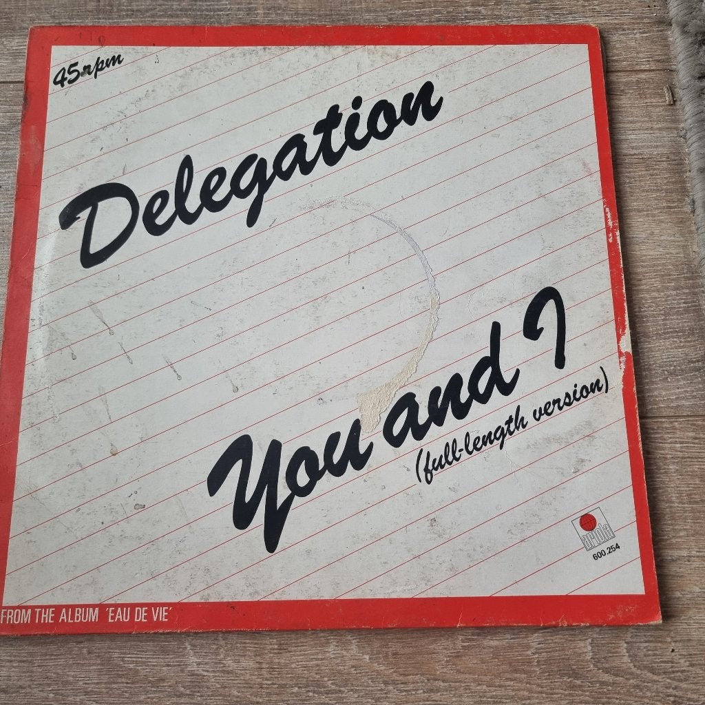 12" Delegation – You And I, Cd's en Dvd's, Ophalen of Verzenden, Gebruikt, 12 inch, R&B en Soul