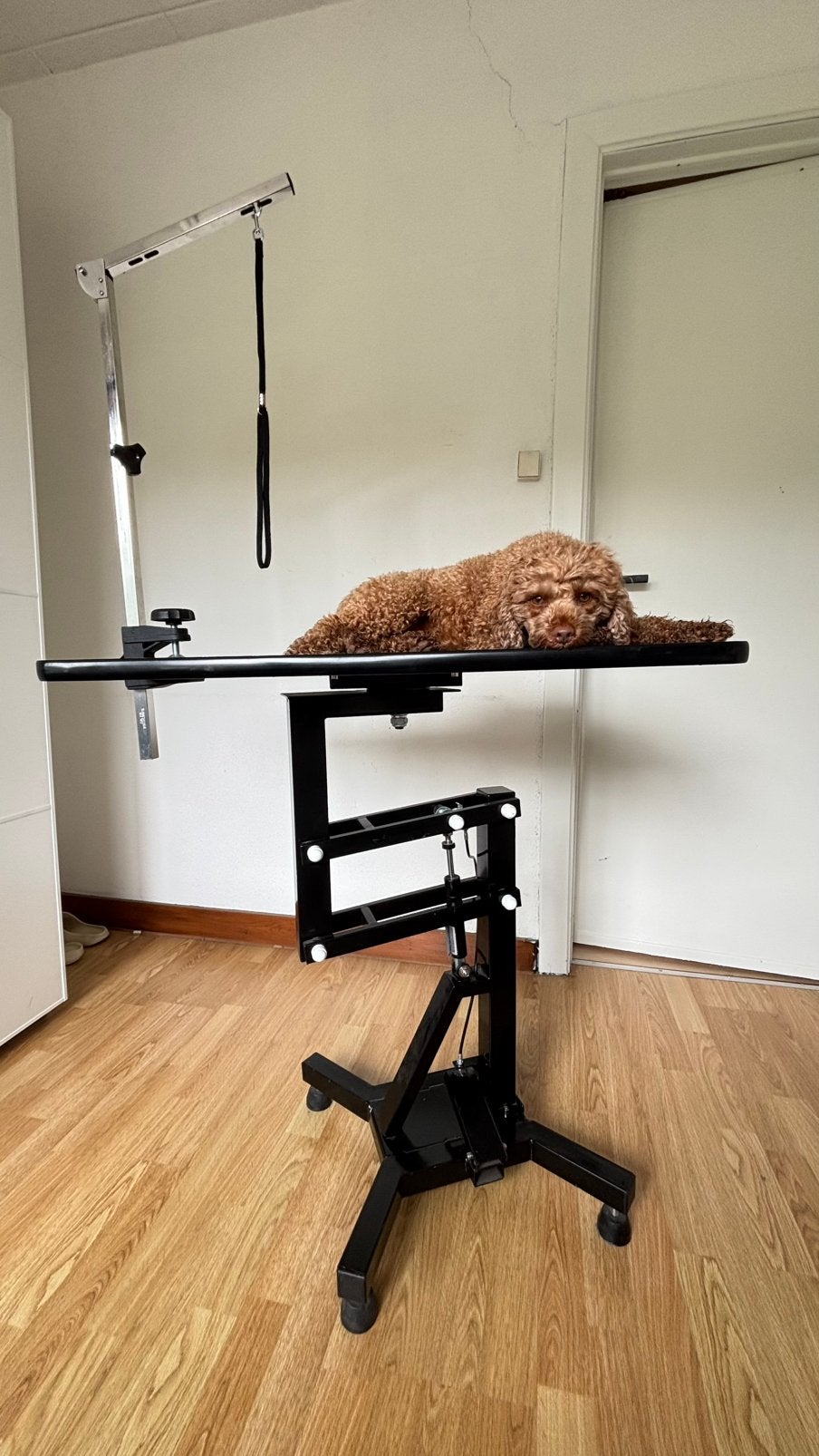 Professionele trimtafel, Dieren en Toebehoren, Ophalen, Zo goed als nieuw, Trimtafel