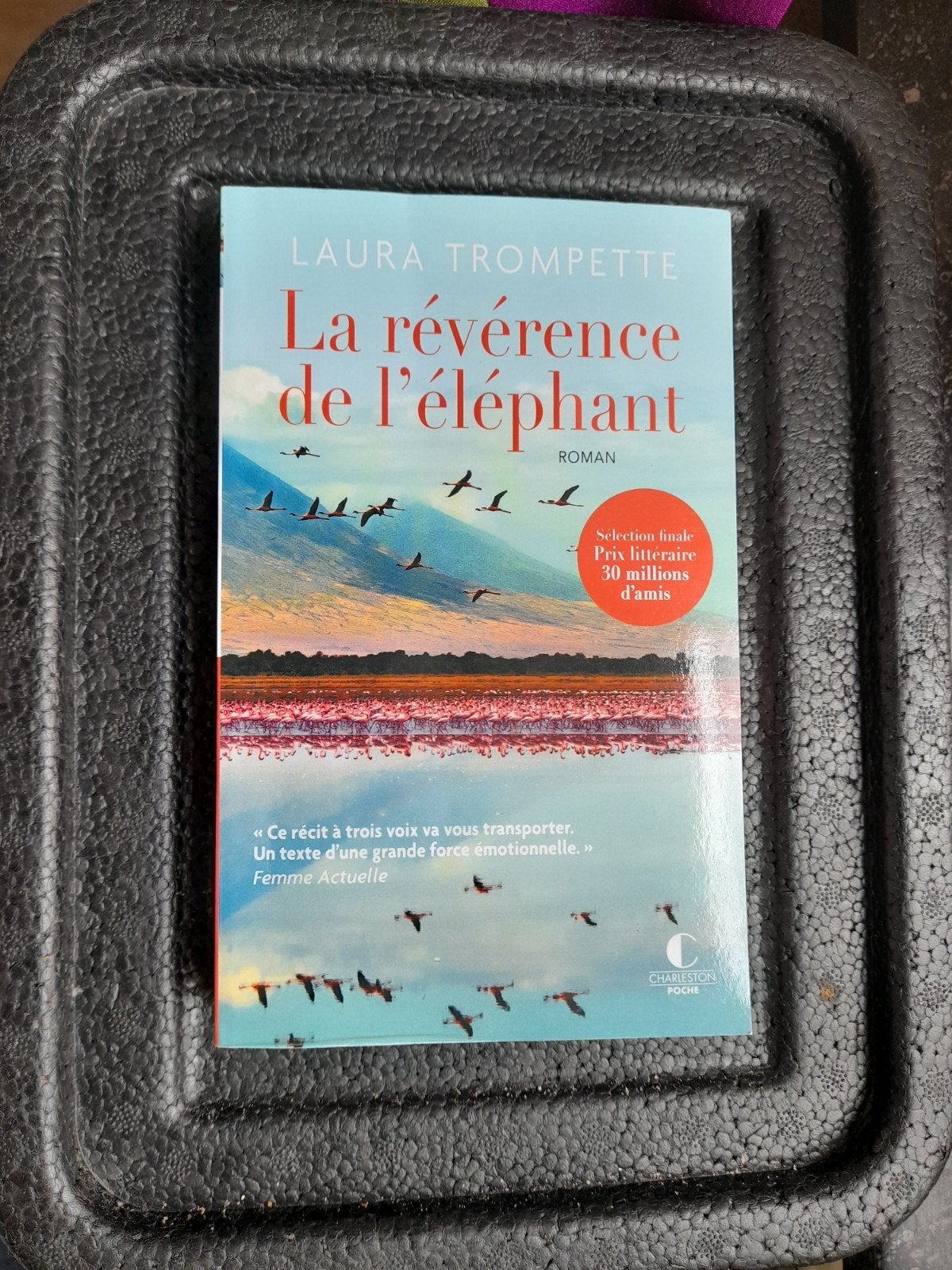 La révérence de l'éléphant de Laura Trompette, Europa overig, Nieuw, Ophalen of Verzenden, Laura Trompette
