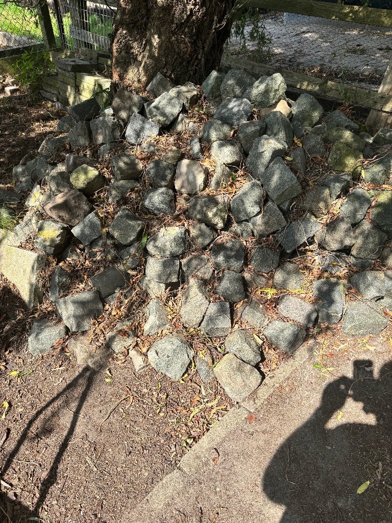 Pavés, Jardin & Terrasse, Utilisé, Enlèvement, Pierre naturelle, 5 à 10 m²