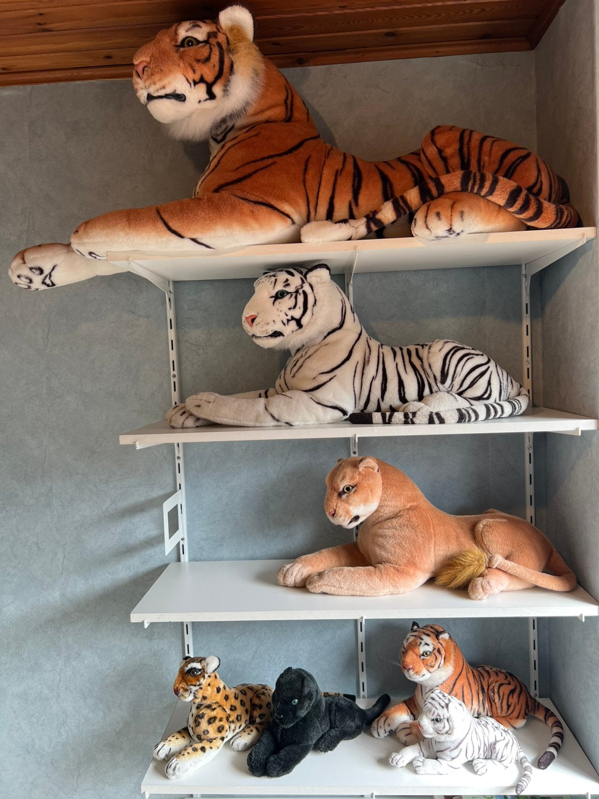 Knuffels te koop, Ophalen, Gebruikt