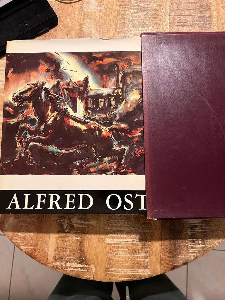 Alfred Ost, monografie - De Vroente, Boeken, Ophalen of Verzenden, Gelezen, Schilder- en Tekenkunst