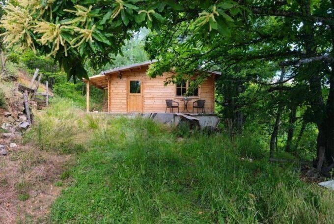 Houten huis te koop in een bergdorp in Zuidwest-Bulgarije, Immo, Dorp, Overig Europa, Igralishte / Bulgarije, 1 kamers