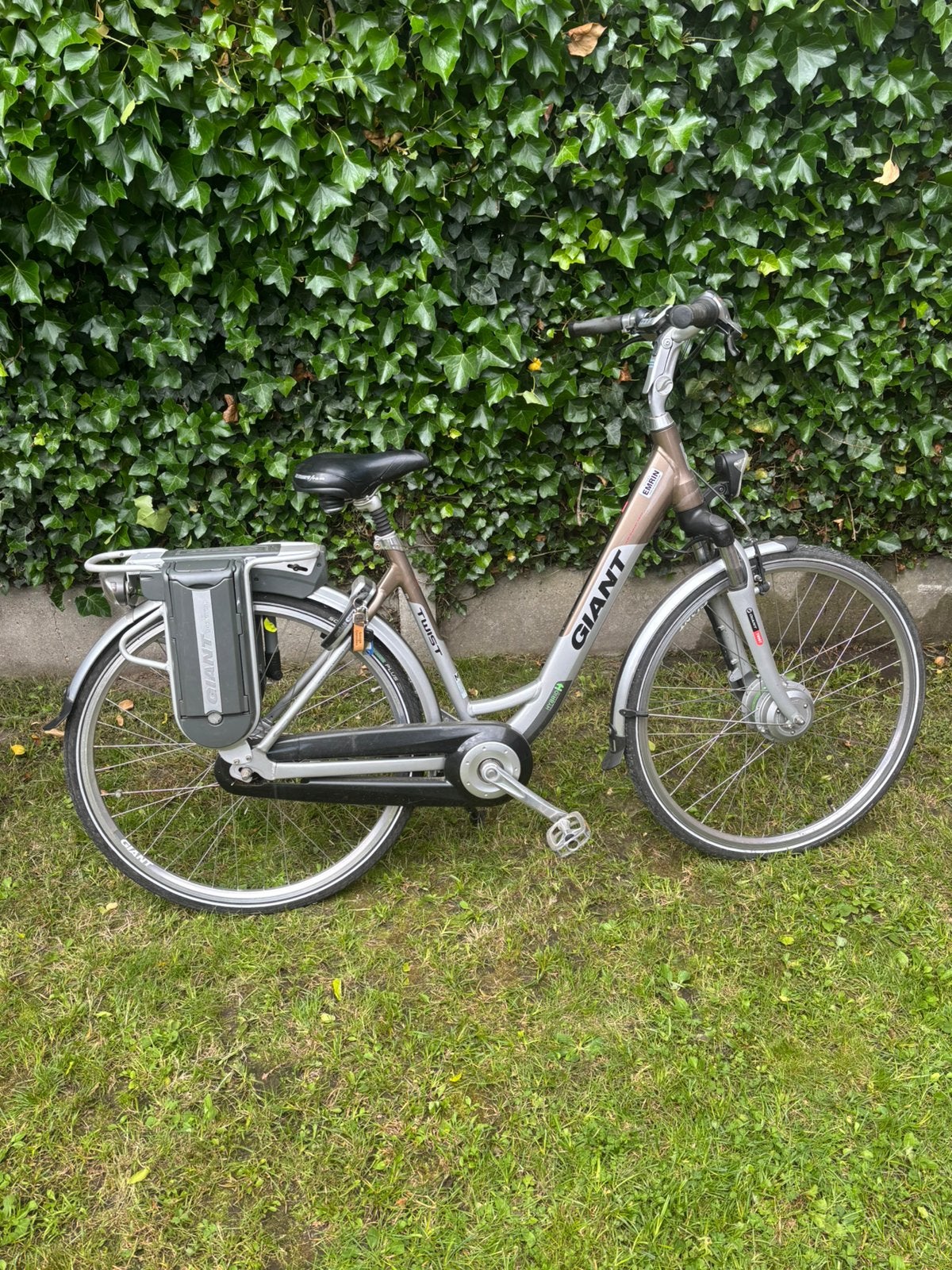 Fietsen, Ophalen, Gebruikt, Giant