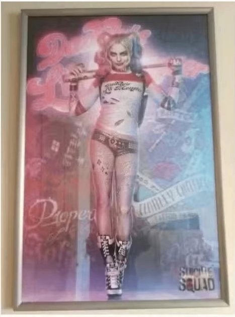 DC Posters - Harley Quinn (Framed / Unframed) (Nieuwstaat), Verzamelen, Posters, Ophalen, Nieuw, Rechthoekig Staand, Film en Tv