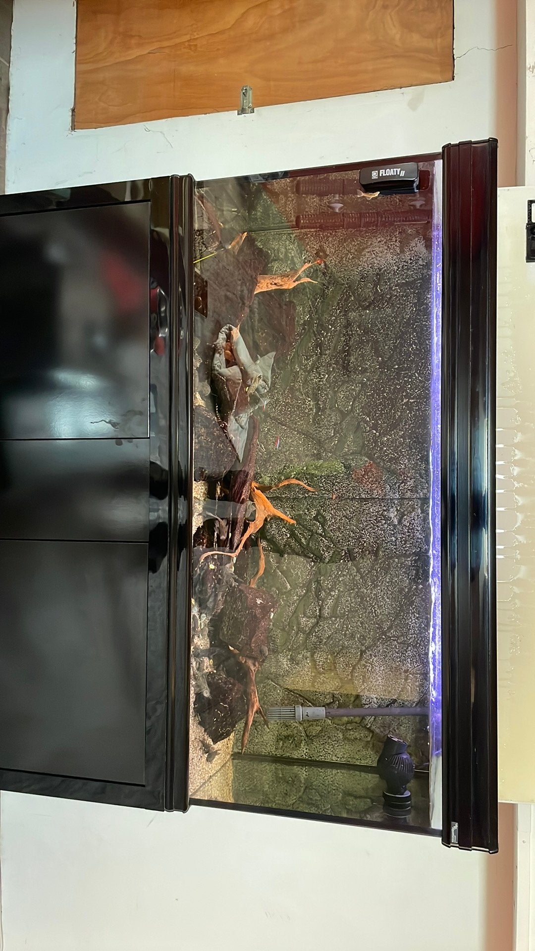 Aquarium complet a vendre, Enlèvement, Utilisé