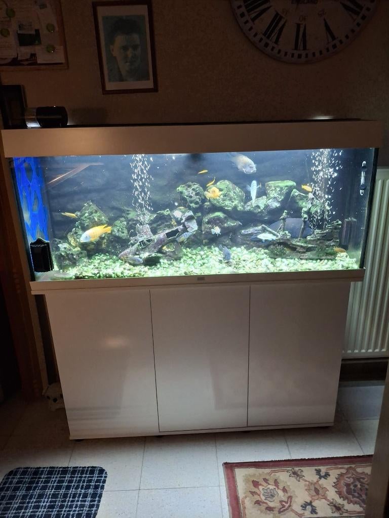 Aquarium, Ophalen