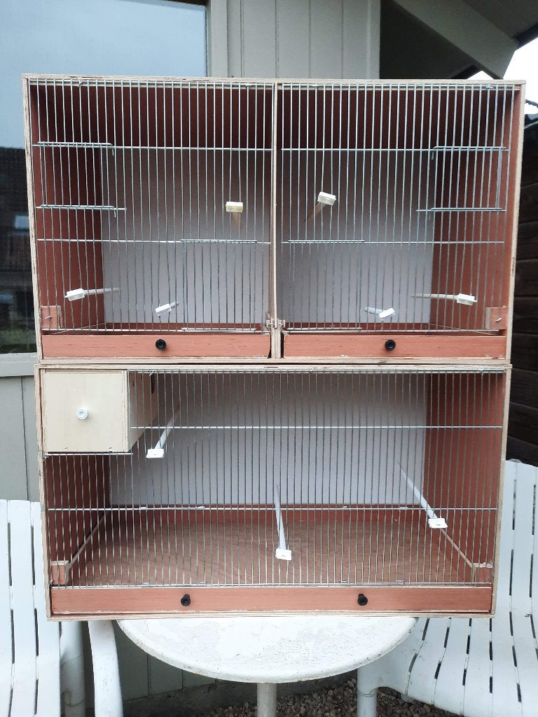 vogelkooi, Dieren en Toebehoren, Vogels | Hokken en Kooien, Ophalen, Nieuw, Hout, Broedkooi of Kweekkooi