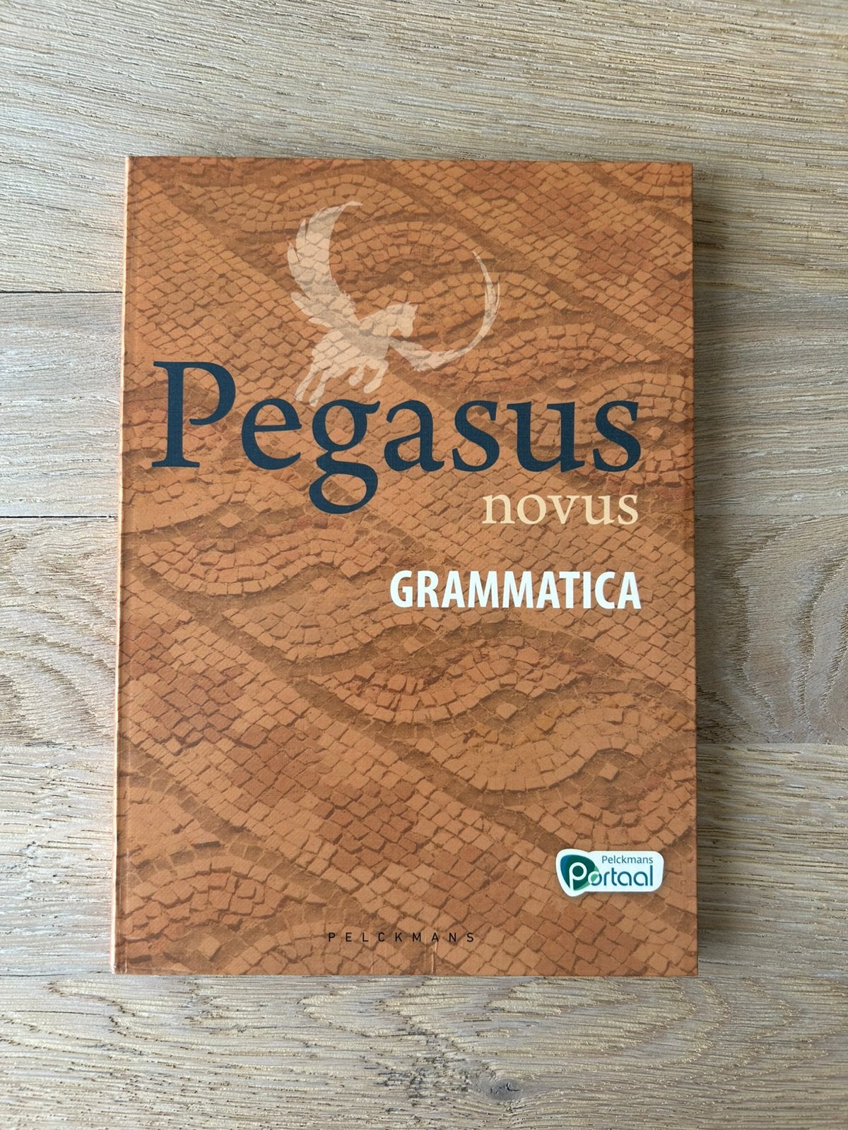 Pegasus Novus grammatica boekje, Boeken, Ophalen of Verzenden, Zo goed als nieuw, Latijn
