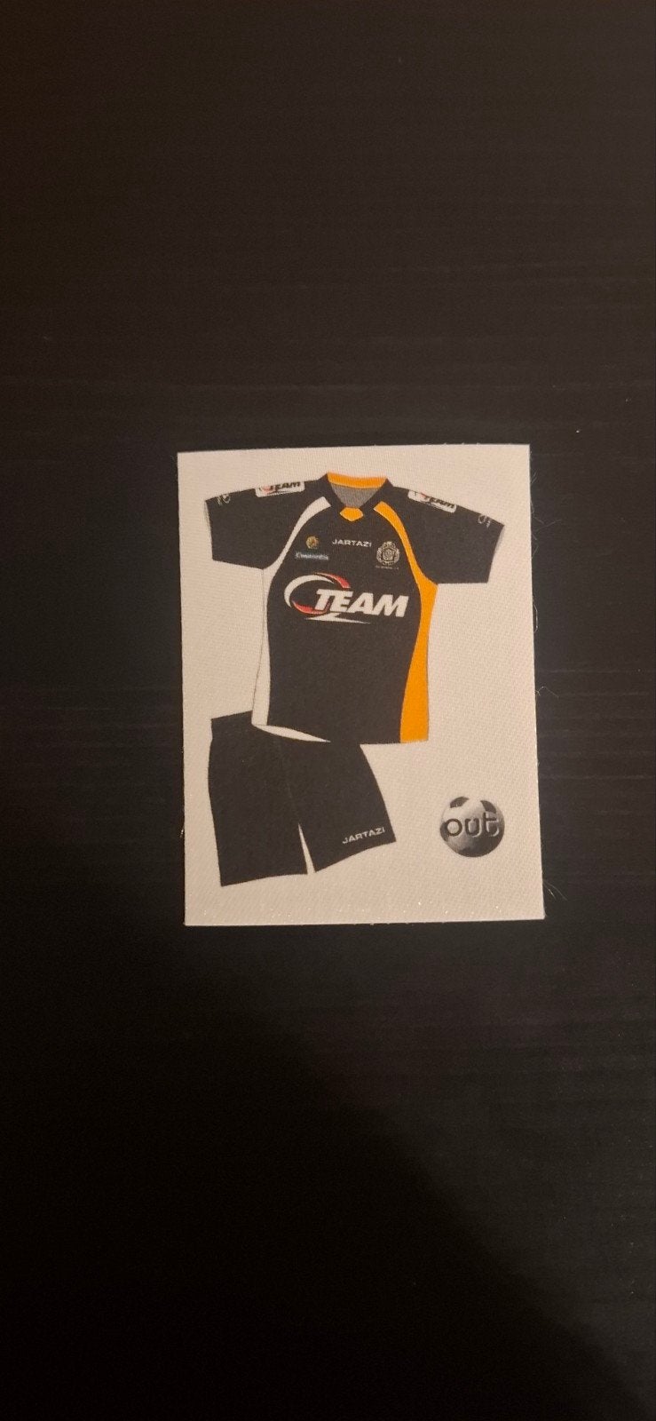 Panini voetbal 2013, Ophalen of Verzenden