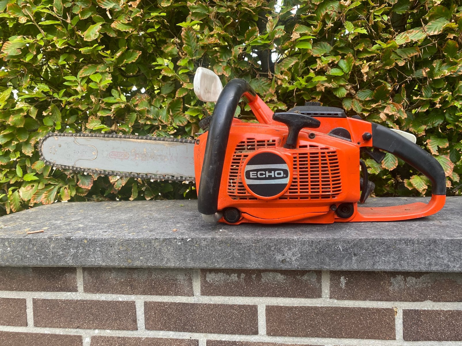 Kettingzaag Echo, Tuin en Terras, Hand-tuingereedschap, Ophalen, Zo goed als nieuw